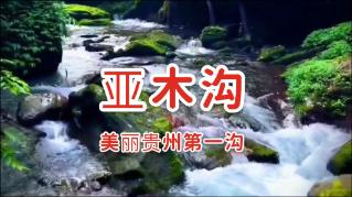 了解袁心玥加盟天津女排,她会代表天津参加全运会吗?平台,解锁知识星球的无限魅力